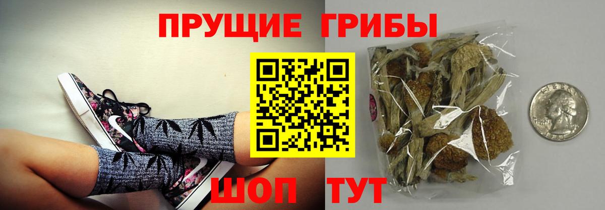 Псилоцибиновые грибы Magic Shrooms  цена наркотик  Реж  Вход с VPN  Галлюциногенные грибы GOLDEN TEACHER 